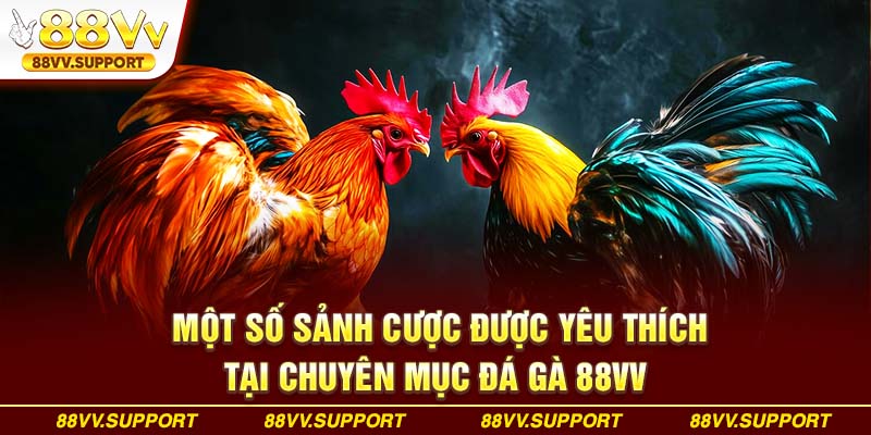Một số sảnh cược được yêu thích tại chuyên mục đá gà 88VV